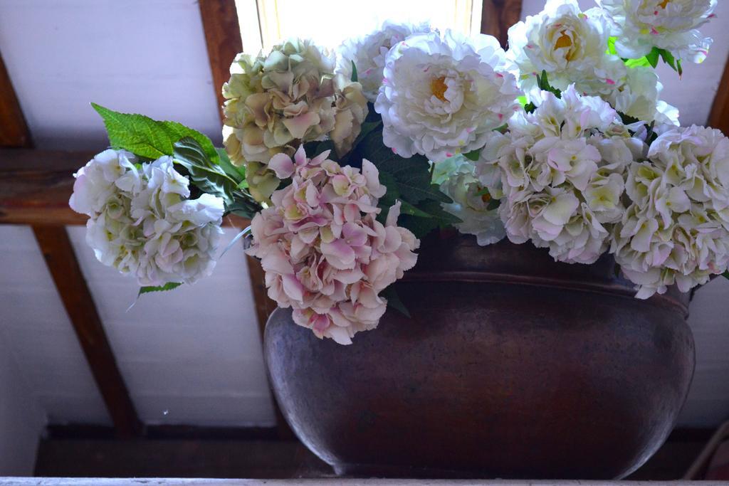 Cosetta Guest House เชร์ตาลโด ห้อง รูปภาพ